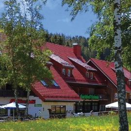 Landgasthaus Backhof-Helmle, hotel sa Breitnau