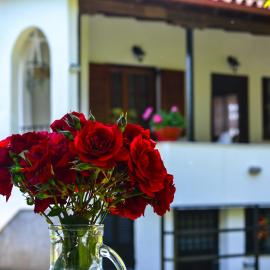 Ianthi House, hotel in Néa Thésis