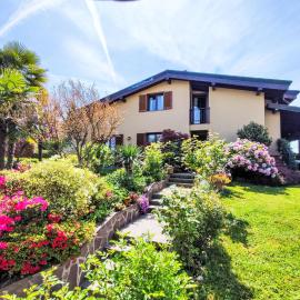 Apartment Azalea by Interhome, Hotel in Lucino