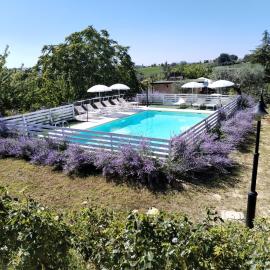 B&B Il Gelso Country House