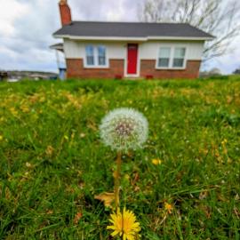 Mountain View Cottage, hotell sihtkohas Ashland