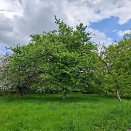 Maison de vacances à la campagne