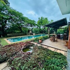 The Treehouse Mtunzini