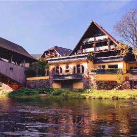 Das Waldhaus, hotel u gradu 'Forbach'