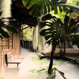 Thỏ Non Garden - Bảo Lộc Center 02