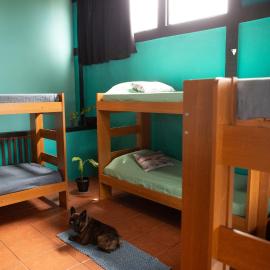 Hostel Casa Lion - Shared room