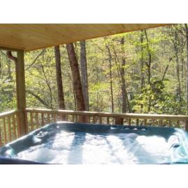 Cabin on the Hill-Peaceful 1BR 20-Acre Rural Retreat-HotTub&WiFi near Asheville, hotel in Hendersonville
