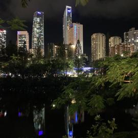 Serenity in Surfers Paradise