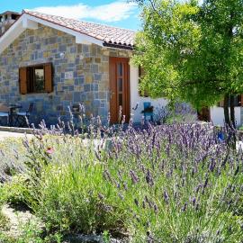 Holiday House Ida, hotel din Marezige