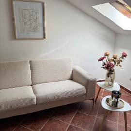 Apartment Damjan