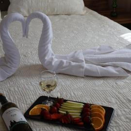 Sevin Stone Hotel