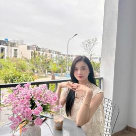 Lotus Villa Hạ Long 317, hotel in Ha Long