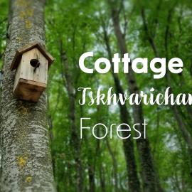 므츠헤타에 위치한 호텔 Cottage in Tskhvarichamia forest