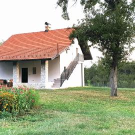 Vila Cosovic, hotel in Citići