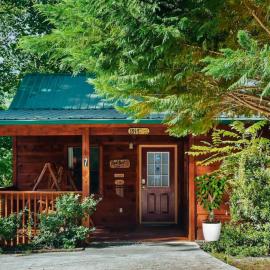 Smoky Mountain Cabin Hot Tub & Forest Views