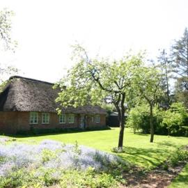 Urlaub im Friesenhaus