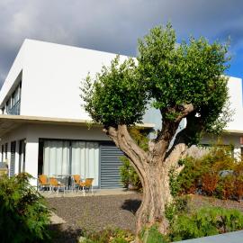 VILAS ESPÍRITO SANTO by brugrani, hotel in Porto Santo