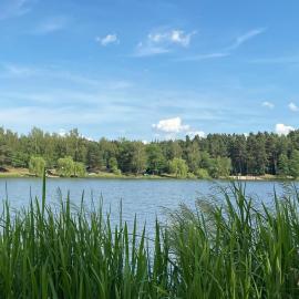 Markowa Przystań