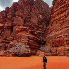 Wadi Rum Bedouin Story Camp & Tours