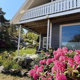 Skjult perle ved havet – hotel w mieście Søgne