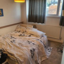 One bed room in three bed room house