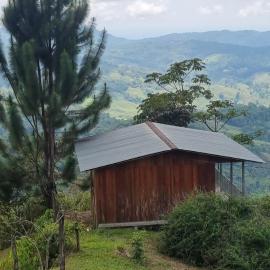 Cabaña con vistas al bosque de Platanillo y al océano Pacífico, hotel 
