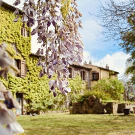 Valle del Tione-prenotazioni singole-
