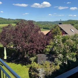 Sauerland Blick