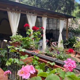ASSUMBRA Casa Vacanze โรงแรมในซานตามาเรีย นาวาร์เรเซ