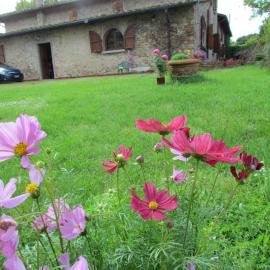 Rosso Papavero Home