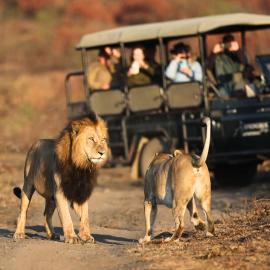The Springbok Lodge, hotel in Nambiti Game Reserve