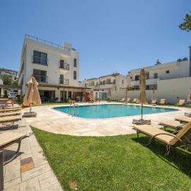 Olive Tree Hotel