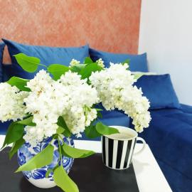 Apartament Warszawska Centrum