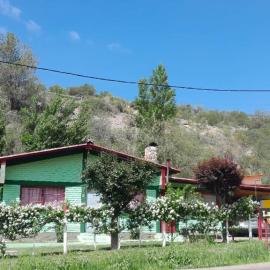 La flor del lugar