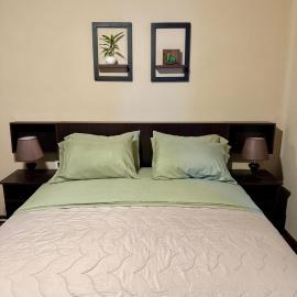 habitación doble, cama queen, terraza y plantas, hotel in Cochabamba