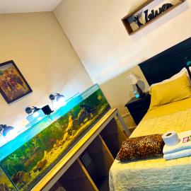 habitación relax, hermosos peces y plantas, hotel in Cochabamba
