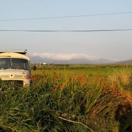 Ballincolla Base Camp、Ballinrollaのホテル