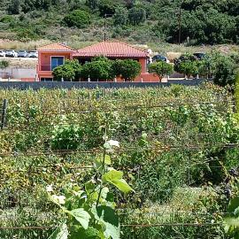 Private villa , 5 min drive from the beach