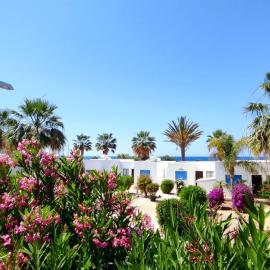 Bungalow Sea Paradise - Beachfront Escape with Sea View, hótel í Polis Chrysochous