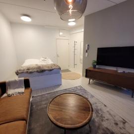 Studio from Downtown with Sauna