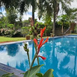Estanzuela Eco Lodge, hotel en Itauguá