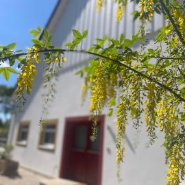geräumige Wohnung mit Terrasse