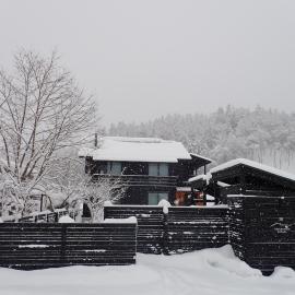 REN HANARE Hakuba