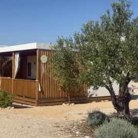 O'LIVE PREMIUM Mobile Home