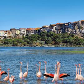 La Lagune, hotel in Bages