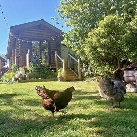 CABIN in hosts huge garden CHILD FRIENDLY with Hens Kittens firepit Marshmallows