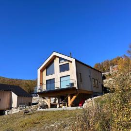 Rinden cabin