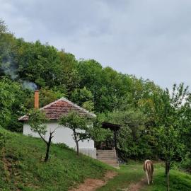 Domaćinstvo Ristović, hotel in Novi Pazar