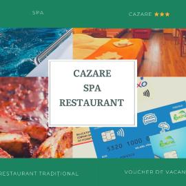 Pensiunea Flora, hotel u gradu Baile Tušnad