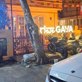 Gava